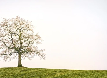 Μοναξιά και εΘισμός