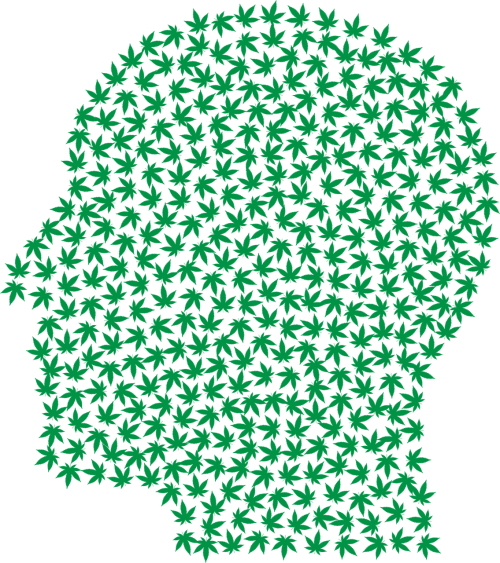 Kάνναβη / Mαριχουάνα/ Χόρτο και προβληματική χρήση