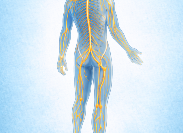 Οι Πιο Συχνές Αιτίες Βλάβης των Περιφερικών Νεύρων: Τι Πρέπει να Γνωρίζετε