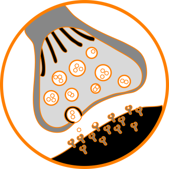 Θεραπεία Μυασθένειας Gravis