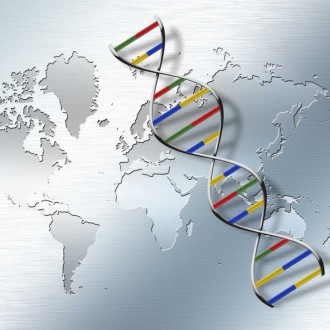 Φαρμακογενετικές Αναλύσεις και  Άνοια