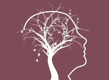 Ψευδοάνοια: Μια Αναστρέψιμη Μορφή Γνωστικής Έκπτωσης