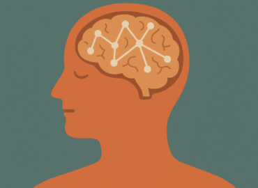 Νευροπλαστικότητα και η Θεωρία του Hebb: Πώς ο Εγκέφαλος Μαθαίνει μέσα από την Εμπειρία