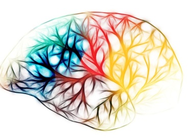 Πώς η Λειτουργία του Θυρεοειδούς Επηρεάζει τη Μνήμη και την Ψυχολογική Ευεξία