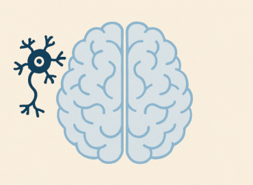 Απώλεια Μνήμης: Πότε ευθύνεται ο Εγκέφαλος και πότε η Ψυχή;