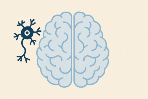 Απώλεια Μνήμης: Πότε ευθύνεται ο Εγκέφαλος και πότε η Ψυχή;