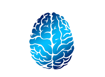 Πώς ο μετωπιαίος λοβός ελέγχει τον φόβο, την ανησυχία και τη θλίψη