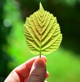 Θεραπεία Κατάθλιψης