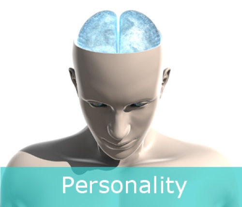 Αξιολόγηση προσωπικότητας ενηλίκων